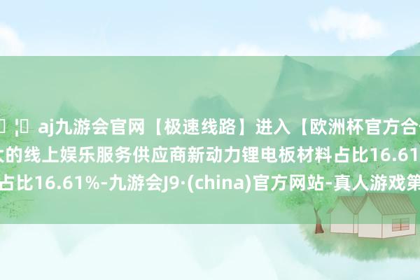 🦄aj九游会官网【极速线路】进入【欧洲杯官方合作网站】华人市场最大的线上娱乐服务供应商新动力锂电板材料占比16.61%-九游会J9·(china)官方网站-真人游戏第一品牌
