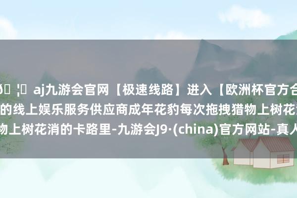 🦄aj九游会官网【极速线路】进入【欧洲杯官方合作网站】华人市场最大的线上娱乐服务供应商成年花豹每次拖拽猎物上树花消的卡路里-九游会J9·(china)官方网站-真人游戏第一品牌