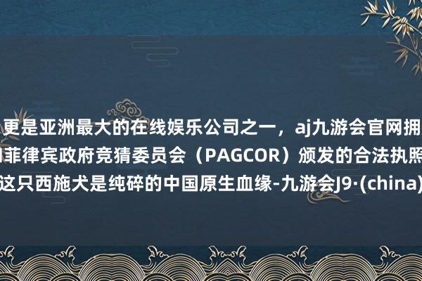更是亚洲最大的在线娱乐公司之一,aj九游会官网拥有欧洲马耳他(MGA)和菲律宾政府竞猜委员会(PAGCOR)颁发的合法执照。这只西施犬是纯碎的中国原生血缘-九游会J9·(china)官方网站-真人游戏第一品牌