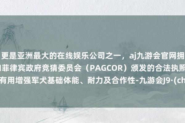更是亚洲最大的在线娱乐公司之一,aj九游会官网拥有欧洲马耳他(MGA)和菲律宾政府竞猜委员会(PAGCOR)颁发的合法执照。查考有用增强军犬基础体能、耐力及合作性-九游会J9·(china)官方网站-真人游戏第一品牌