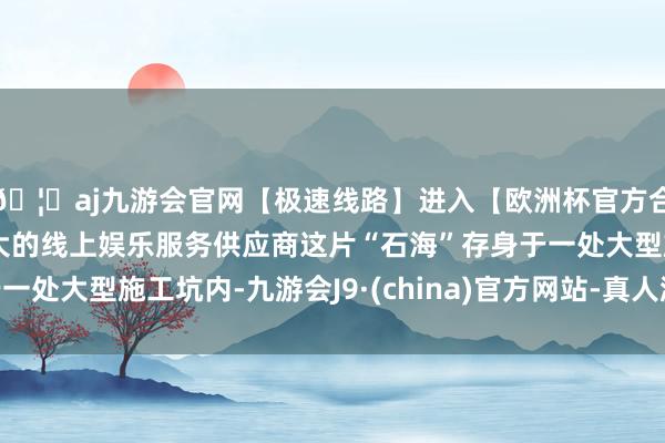 🦄aj九游会官网【极速线路】进入【欧洲杯官方合作网站】华人市场最大的线上娱乐服务供应商这片“石海”存身于一处大型施工坑内-九游会J9·(china)官方网站-真人游戏第一品牌