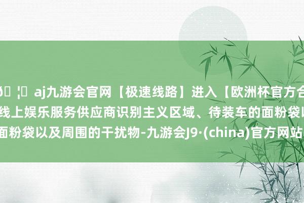 🦄aj九游会官网【极速线路】进入【欧洲杯官方合作网站】华人市场最大的线上娱乐服务供应商识别主义区域、待装车的面粉袋以及周围的干扰物-九游会J9·(china)官方网站-真人游戏第一品牌