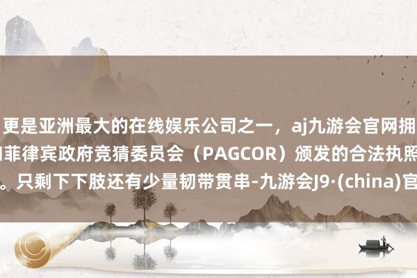 更是亚洲最大的在线娱乐公司之一，aj九游会官网拥有欧洲马耳他（MGA）和菲律宾政府竞猜委员会（PAG