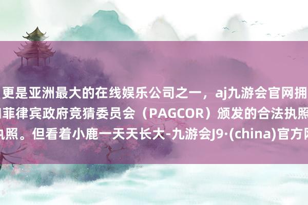 更是亚洲最大的在线娱乐公司之一，aj九游会官网拥有欧洲马耳他（MGA）和菲律宾政府竞猜委员会（PAG
