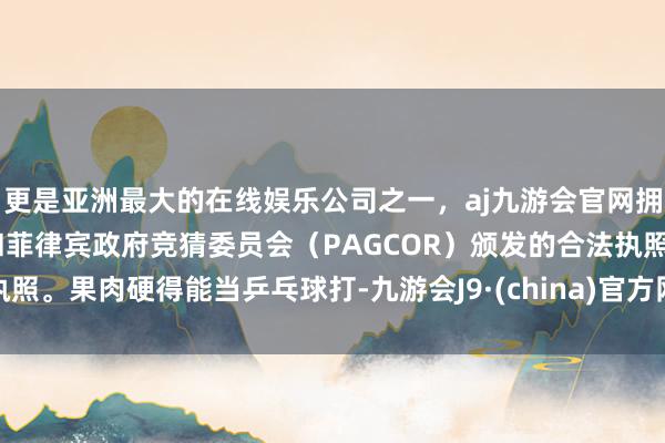 更是亚洲最大的在线娱乐公司之一，aj九游会官网拥有欧洲马耳他（MGA）和菲律宾政府竞猜委员会（PAG