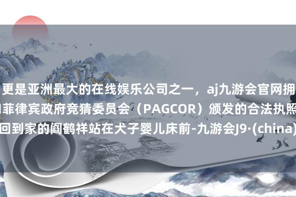 更是亚洲最大的在线娱乐公司之一，aj九游会官网拥有欧洲马耳他（MGA）和菲律宾政府竞猜委员会（PAG