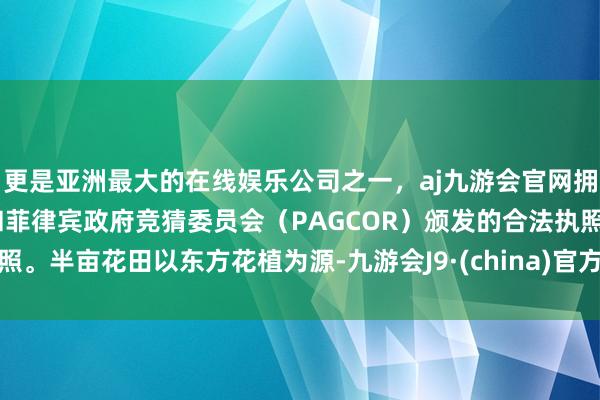 更是亚洲最大的在线娱乐公司之一,aj九游会官网拥有欧洲马耳他(MGA)和菲律宾政府竞猜委员会(PAG