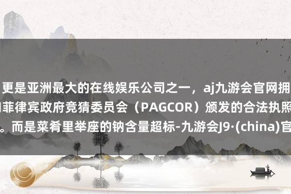 更是亚洲最大的在线娱乐公司之一，aj九游会官网拥有欧洲马耳他（MGA）和菲律宾政府竞猜委员会（PAG